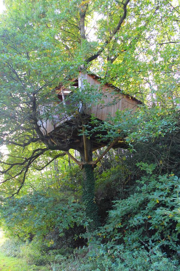 Les Ecolodges De L'Orbiere Force Экстерьер фото